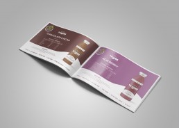 Health food brochure design