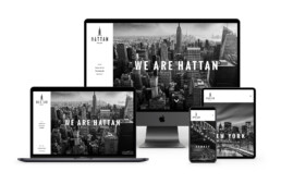Responsive Website Design Showcase